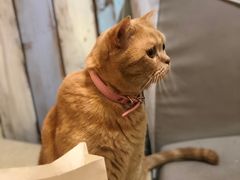 -小时光咖啡馆(开森度假森林店)