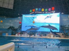 -泉城欧乐堡海洋极地世界