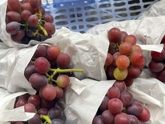 -马陆小张葡萄园农家乐