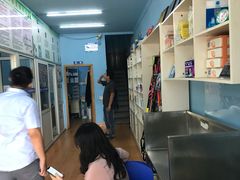 -小叮当动物医院·骨科·眼科