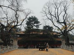 -潭柘寺景区