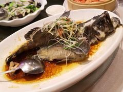 -龙的酒楼·手工早茶·顺德菜(近良路店)
