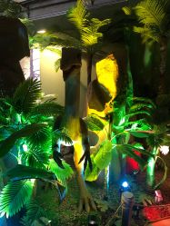 -恐龙探索乐园(磁器口店)