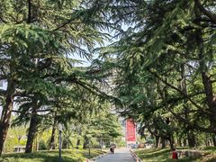 -南郊宾馆·风味自助餐厅·山东十六地市特色菜