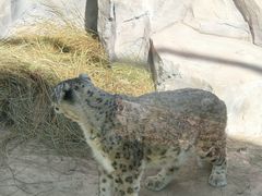 -青藏高原野生动物园