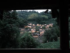 -杨家堂村