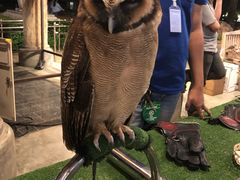 -清迈夜间动物园