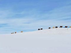 -塞罕坝国家级自然保护区