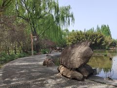 -洛阳市隋唐城遗址植物园
