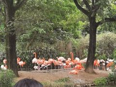 -上海野生动物园