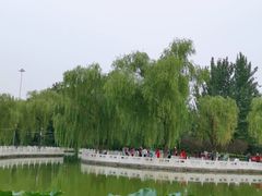 -丰台花园