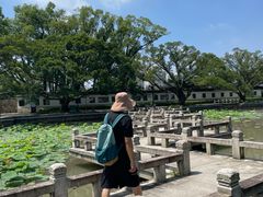 -江心屿景区