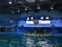 -苏州海洋馆