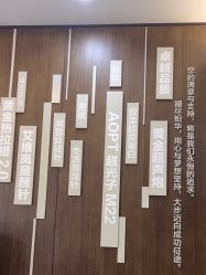 -加减美医美连锁品牌