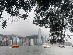 -天星小轮码头