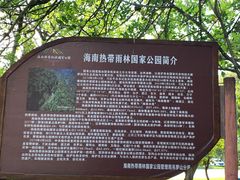 -海南热带雨林国家公园吊罗山景区