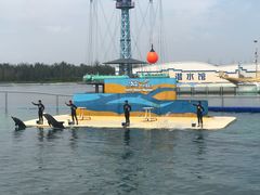 -秦皇岛乐岛海洋王国