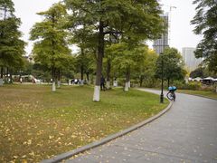 -成都南湖公园