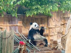 -泉州海丝野生动物世界