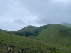 -大姆山草场
