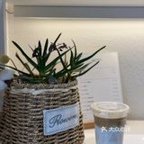 大学路的咖啡馆都很小清新