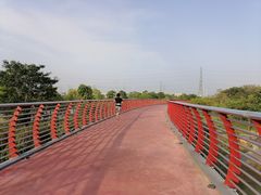 -王借岗森林公园