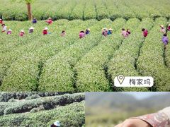 -八卦田遗址公园