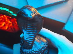 -Xcape异时刻密室逃脱魔法互动(瑞虹天地太阳宫店)