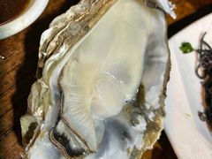 -四季美蚝皇
