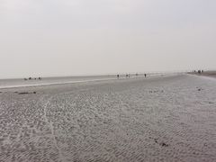 -南汇嘴观海公园