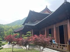 -兰亭风景区