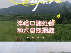 -沣峪口