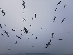 -长岛南北长山旅游景区