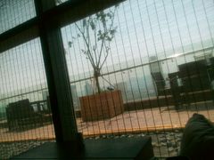 -梧桐餐厅(泉城路店)