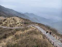 -大围山国家森林公园