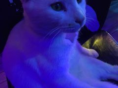 -星宿秘码(鼓浪屿老店)