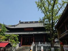 -灵谷景区