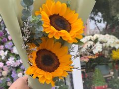 -FEI FEI FLOWER鲜花店·气球派对·宝宝宴布置(虹口德必运动Loft店)