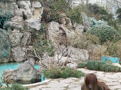 -静安公园(静安寺街道)