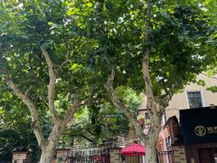 -玫瑰厅上海菜(兴国路店)