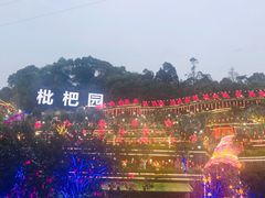-枇杷园食为鲜火锅(南山店)