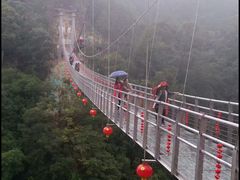 -九龙江国家森林公园