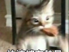 -振鼎鸡(福州路店)