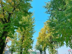 -两江幸福广场