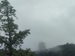 -杭州半山国家森林公园