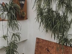 -唐咖精品咖啡(大理古城手冲店)