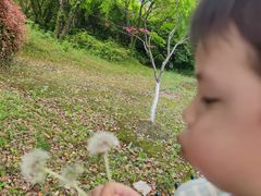 -白塘生态植物园