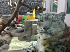 -青藏高原野生动物园