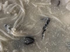 -鱼情味了主题餐厅(通州江海皇都店)