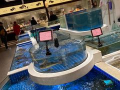 -渔人码头(中南店)